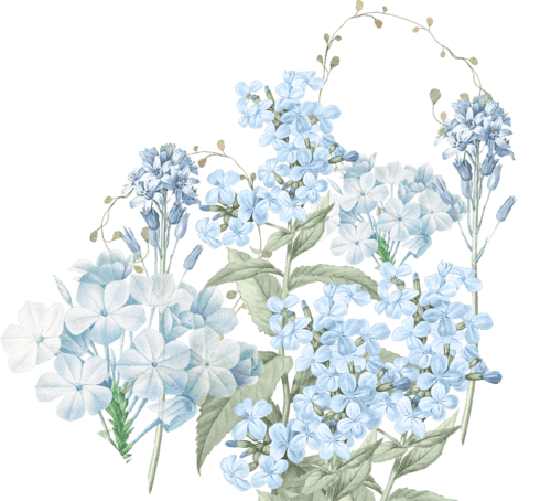 Flower Middle (2).png